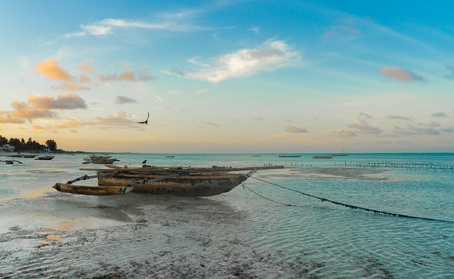 Kiedy najlepiej wybrać się na Zanzibar?