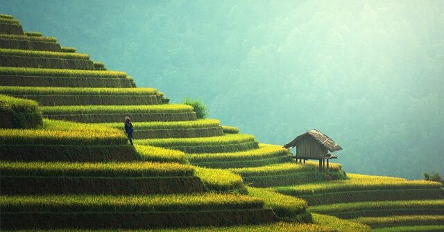 Ile kosztuje obiad na Bali?