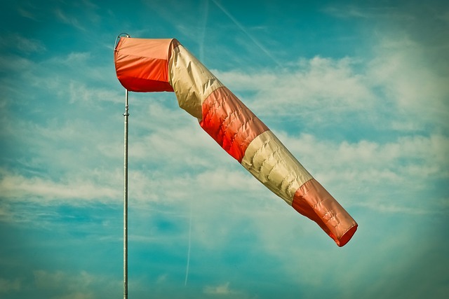 Co myślą o Polakach Portugalczycy?