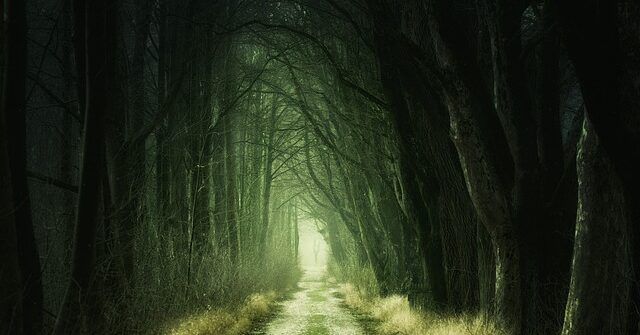 Czy można zamieszkać w opuszczonym domu?