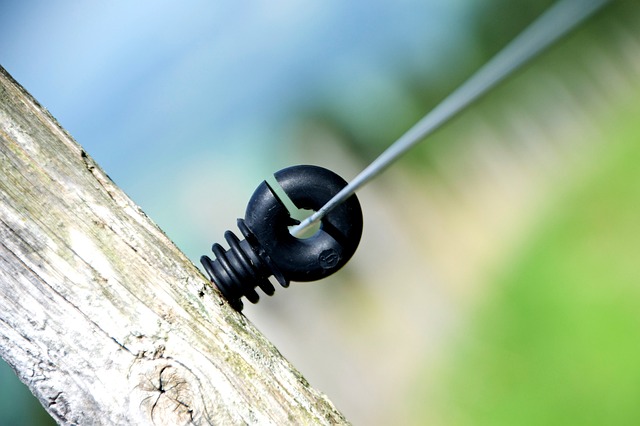 Jak nazywano Polaków na Ukrainie?