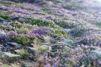 Czy trudno jest wejść na Śnieżkę?